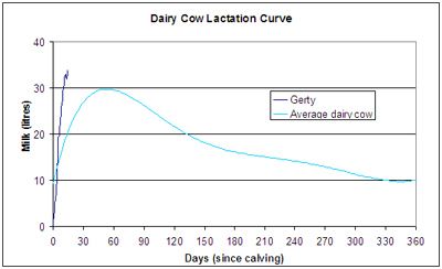 Lactation Chart Cow