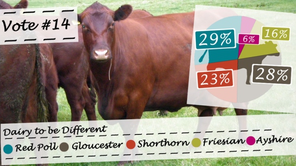 Graphic showing the result of the Dairy to be Different vote